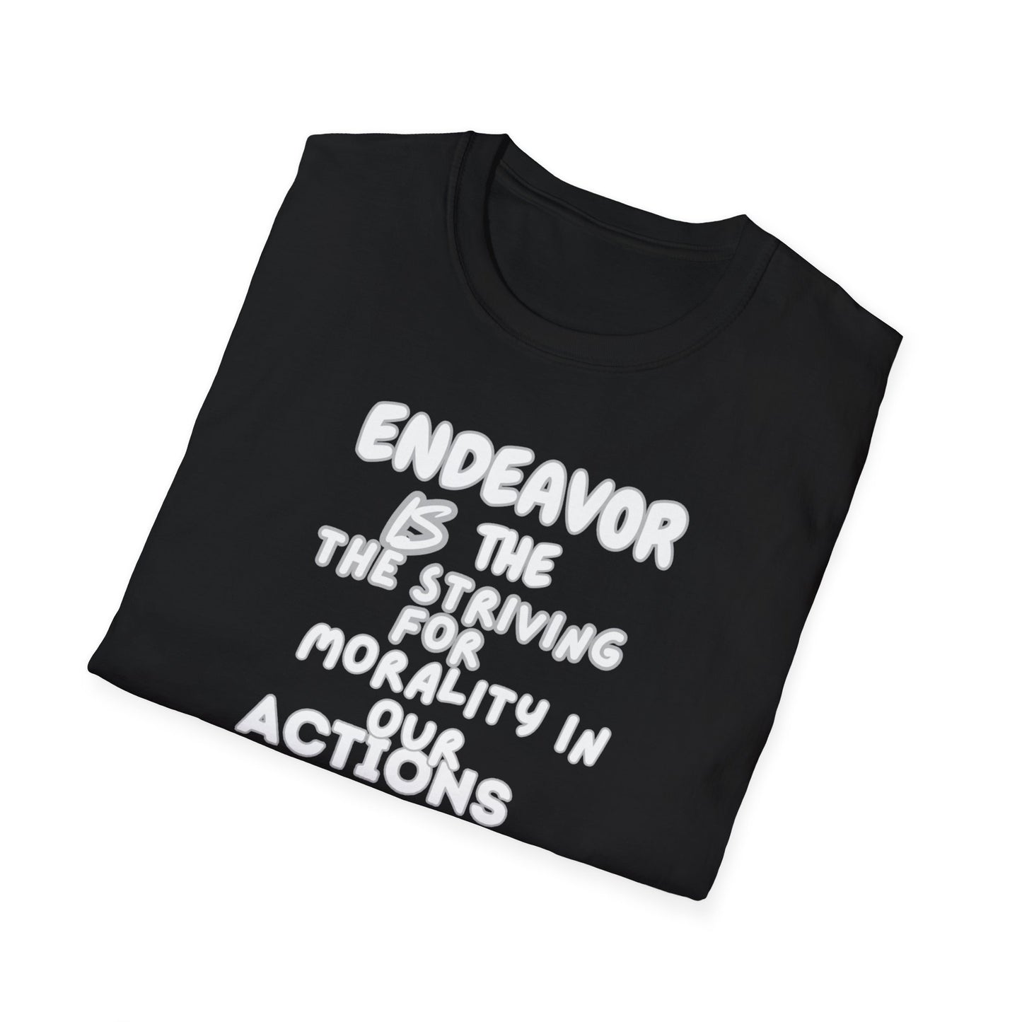 ENDEAVOR t-shirt