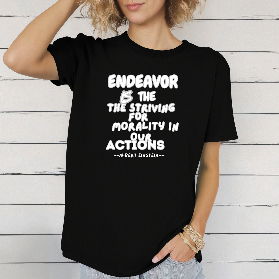 ENDEAVOR t-shirt