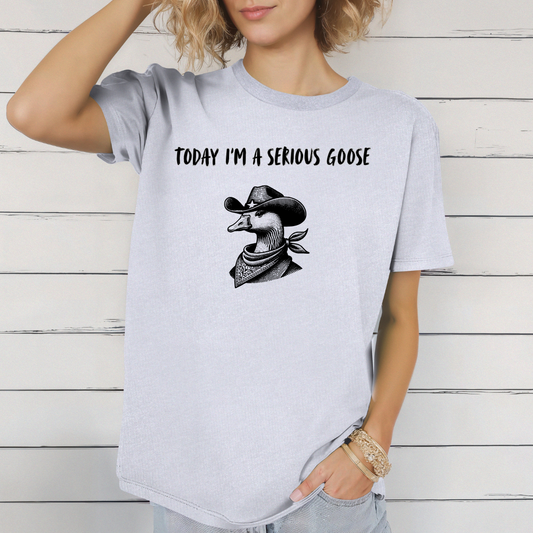 Today I'm a Serious Goose T-Shirt
